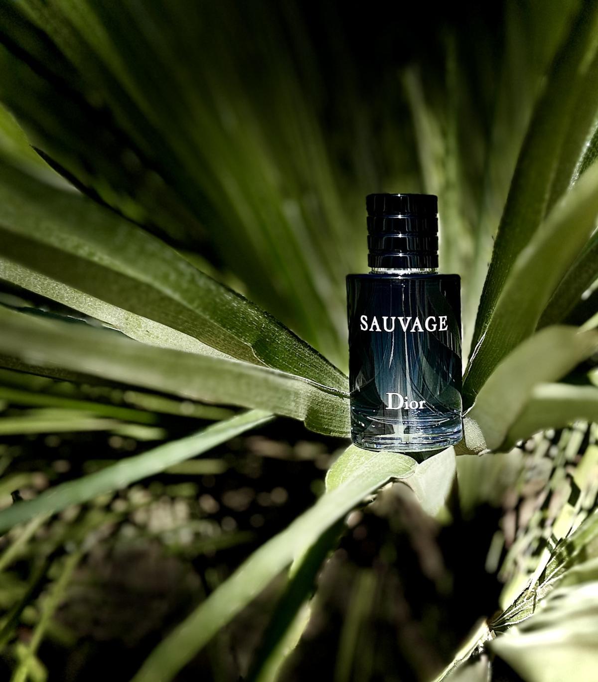 Sauvage Dior